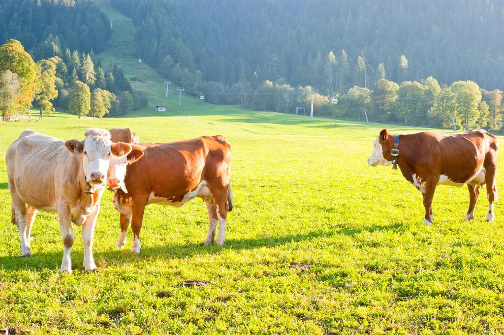 Hartlhof Urlaub Am Baby- Und Kinderbauernhof Niederau Exterior foto